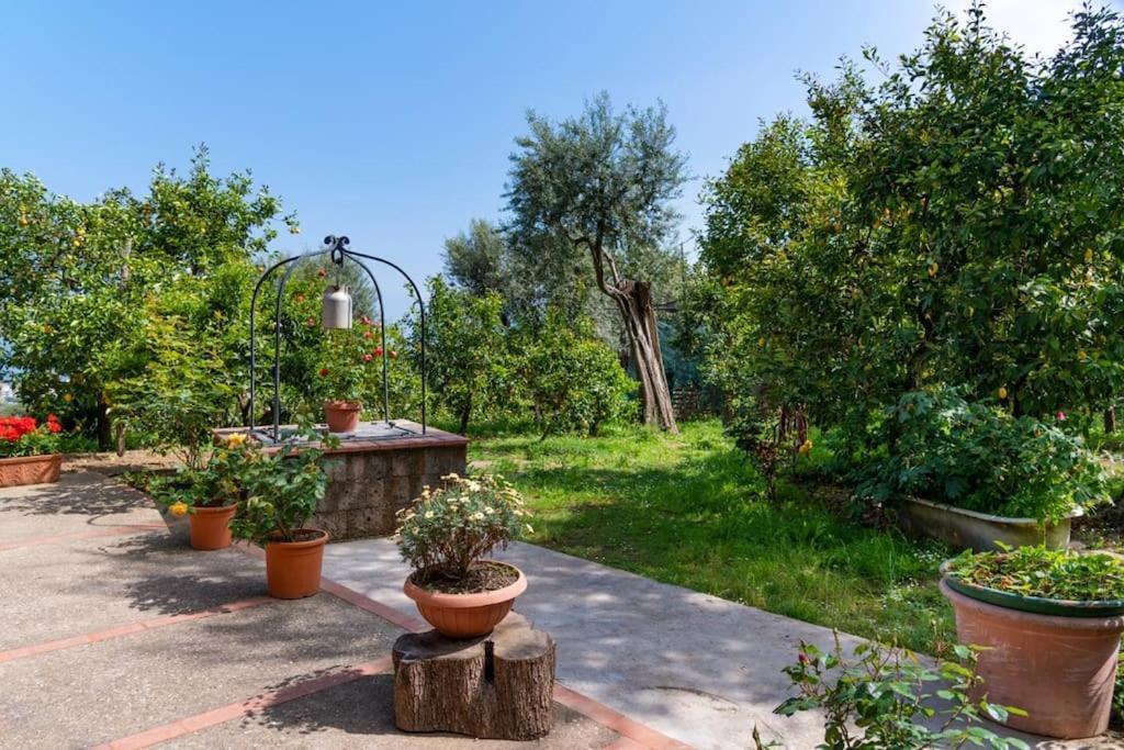 Sorrentovibes - Sea View Rooftop Apartment With Jacuzzi & Garden Экстерьер фото